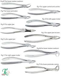 Details About Surgical Tooth Forceps Dental Surgical