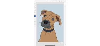 Get it as a book on amazon. Draw Your Dog As A Cartoon Make It With Adobe Creative Cloud