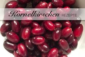 Die Vergessene Kornelkirsche Mrsemilyshore Rezept In 2020 Kornelkirsche Kornelkirsche Rezepte Fruchte