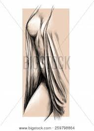 From wikimedia commons, the free media repository. Female Body Robe Half Vector Photo Free Trial Bigstock