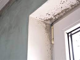 A soft, green or gray growth that direct savings accrue from reduced costs in the mold room and reduced coverage for sick time resulting from strain injuries. Could Household Mold Be Worsening My Asthma