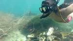 La Jolla Coast Snorkel - La Jolla Kayak