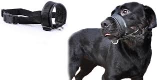 Shoppobest Top 20 Best Dog Muzzles To Prevent Biting