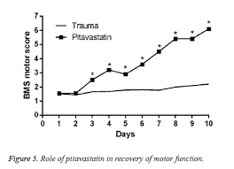 Pitavastatin Inhibits Proinflammatory Cytokines And Provides
