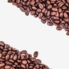 coffee beans background white isolated bean roasted frame drink hot espresso breakfast caffeine roast black coffee beans gourmet coffee beans coffee bean logo