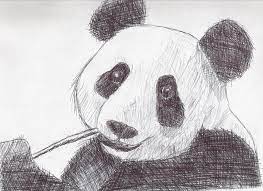 They believed that the exner scoring system was in need of an update, but after exner's death, the exner family forbade any changes to be made to the comprehensive system. Sketch Assignment Animal Cross Hatching Cross Hatching Animal Drawings Beautiful Sketches
