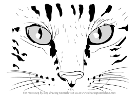 Maybe you would like to learn more about one of these? Learn How To Draw Cat Eyes Cats Step By Step Drawing Tutorials