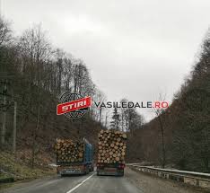 Parlamentarii au idei multe şi trăznite. Foto Un Camion Din MaramureÈ™ IncÄƒrcat Cu Lemne DepÄƒÈ™eÈ™te Pe Linie ContinuÄƒ È™i In CurbÄƒ Pe Un Altul Stiri Din Maramures Vasile Dale