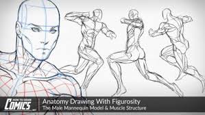 Figure Drawing Anatomy Archives Paintingtube He shows how to use figurosity to improve figure drawings. figure drawing anatomy archives