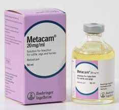 If your dog has had an. Meloxicam Product Approved For Sheep In Australia After World First Tri Lateral Review Sheep Central