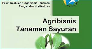 Sinkron artinya pembelajaran dilakukan pada waktu yang bersamaan melalui chatting atau video conference. Agribisnis Tanaman Sayuran Pangan Dan Hortikultura Buku Kelas 10 Smk Kurikulum 2013 Pdf Jalurppg Id