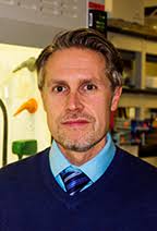 The Nilsson Group - People