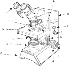 Feb 23, 2019 · troy bilt 13wn77ks011 pony 2013 parts diagram for wiring schematic troy bilt 13103 troy bilt hydro ltx lawn tractor sn briggs and stratton power products 030477a 01 7. 32 Label Of The Microscope Label Design Ideas 2020