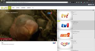 Apa kata #stayathome sambil layan animasi ejen ali di iflix secara percuma! Tonton Tv1 Tv2 Tv3 Secara Online Dan Percuma Updated May 2018