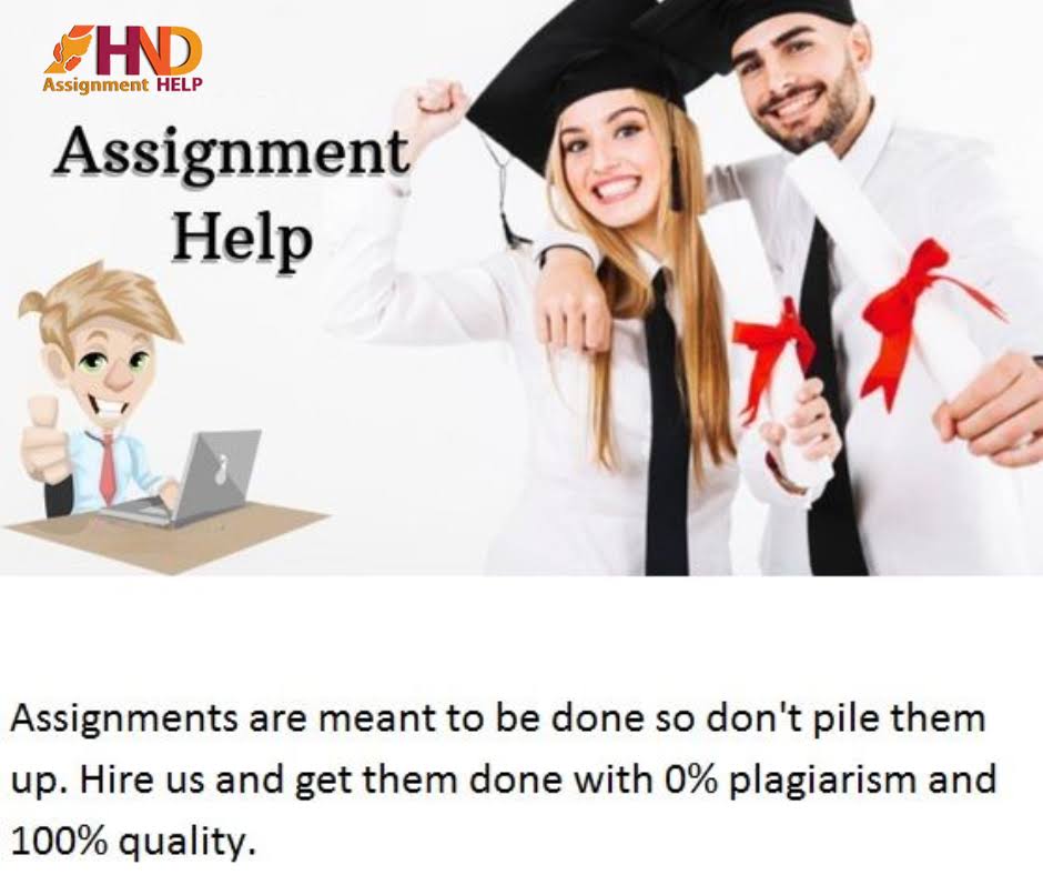 Assignment Help Services product image