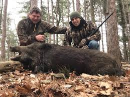 Hog hunting in texas has 13,427 members. Wild Boar Hunts And Hog Hunting Trips In Pennsylvania Tioga Boar Hunting