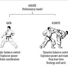 Maybe you would like to learn more about one of these? Karate Performance Model Download Scientific Diagram