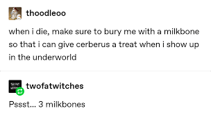 When I Die Bury Me With All My Ice On Meaning 25 Hilarious And Ridiculous Posts That Could Only Be From Tumblr In 2020 Greek Mythology Humor Greek Memes Tumblr Funny