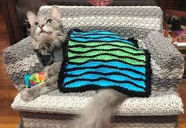 How to crochet a cute cat amigurumi pattern tutorial. Kitty Couches Are A Thing Now Pass It On