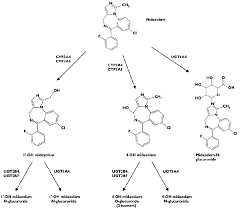 Metabolism Of Midazolam In The Liver Midazolam Is Metabolized By Download Scientific Diagram
