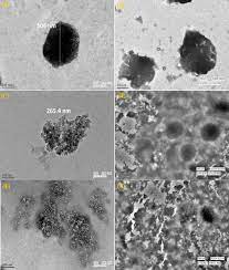 Typical Transmission Electron Microscopy Tem Analysis Of Download Scientific Diagram