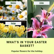 This community is dedicated to continuing care, with residents getting picturesque views of a pond, beautiful green grass, and amazing landscaping. 1 800 Flowers Of Jacksonville Flowers 800 Twitter