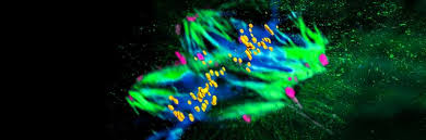 Click here for advanced sorting and searching options. Table Of Contents July 13 2018 361 6398 Science