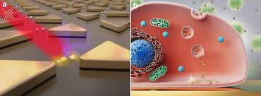 Although bitmap is a standard computer term for a pixel based image (such as a photo) in *.bmp, *.jpg, *.gif, *.tif, *.png and *.jpeg. Plasmonic Tweezers For Nanoscale Optical Trapping And Beyond Light Science Applications