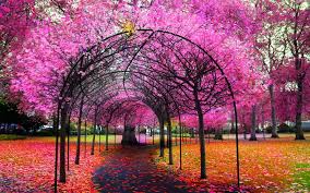 You will see a slider in the section. Full Hd Beautiful Places Wallpaper Hd Beautiful Place