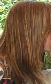 Couleur Cheveux Balayage Caramel Et Miel Avec Couleur Chatain Chocolat Par Dessus Hair Videos Long Hair Styles Balayage