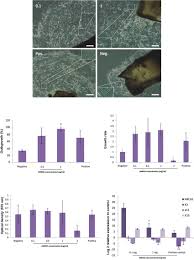 limbal cell growth with amniotic membrane extract eye drop