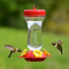I'm sure it also varies with species. Perky S Finest 16 Oz Top Fill Glass Hummingbird Feeder 131tf