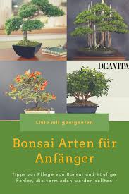 Liste Mit Bonsai Fur Anfanger Tipps Zur Pflege Um Haufige Fehler Zu Vermeiden Mit Bildern Bonsai Bonsai Pflege Pflanzen