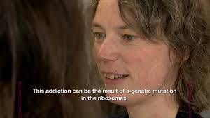 News — Laboratory for Disease Mechanisms in Cancer