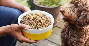 The pet food pantry will be open every 2nd and 4th monday of the month, from 10am to 2pm, and will be located in the following la animal services center locations: These 8 Dog Food Delivery Services Are Recommended By Vets