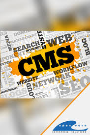Custom Cms Solution In Malaysia Website Development Cms Website Website Development Company