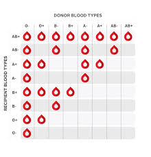 We did not find results for: What Is My Blood Type