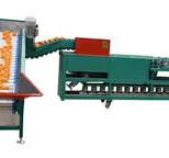 High Quality Automatic Fruit And Vegetable Sorting Machine ...