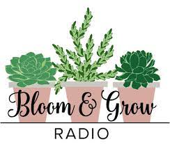 🌱 #plantkiller turned #plantlady helping you grow plants & cultivate joy w podcasts, youtube & tips! Episode 46 Understanding Natural Light General Rules Bloom Grow Radio