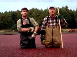 Check spelling or type a new query. Ocean Spray Laptop Youtube