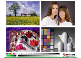 Page alignment and printable area are shown by three frames. Color Printer Test Pages