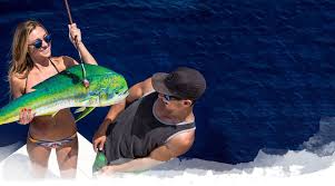 Process until well combined and smooth, about 30 seconds. Mahi Mahi Fish Taco Recipe From Fin And Fly