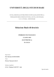 Relazione Finale Ssis Di Nico Sasanelli By Nico Sasanelli Issuu