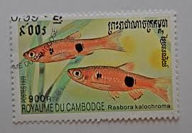 There seems to be a problem serving the request at this time. Postage Stamps And Postal History Of Cambodia Wikipedia