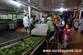 Maybe you would like to learn more about one of these? Pabrik Teh Wisata Agro Wonosari Surabaya Rek