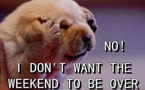 Friday, saturday and sunday are together referred as the weekend. 100 Happy Weekend Quotes And Sayings With Images