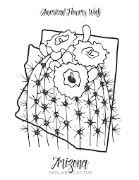 To download our free coloring pages, click on the united states of america or individual state you'd like to color. 50 State Flowers Free Coloring Pages American Flowers Week