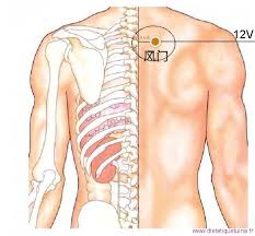 Has been added to your cart. Le Point Feng Men Du Meridien De La Vessie 12v Dietetique Chinoise Et Tuina