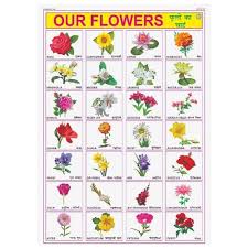 flower chart