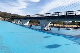 深 北 緑地 スケボー